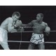 Herol Bomber Graham boxing genuine signed authentic autograph photo COA UACC 