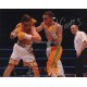 Michael Gomez boxing authentic autograph signed photo COA