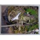Mike Bannister Adrian Meredith Concorde authentic genuine signed autograph photo 9