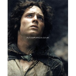 Elijah Wood Lord Rings authentic signed genuine signature autograph COA AFTAL