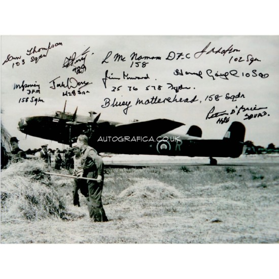 WW2 Halifax Bomber Veteran genuine authentic multi signed photo 