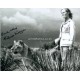 Virginia McKenna signed original genuine autograph authentic photo UACC