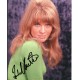 Julie Christie genuine authentic autograph signed signature photo