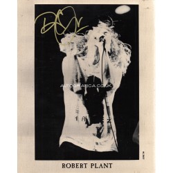 Robert Plant Led Zeppelin genuine authentic autograph signed signature photo.