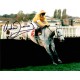 Richard Dunwoody Horse Racing signed autograph photo UACC AFTAL