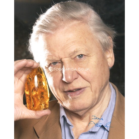 David Attenborough falcon signed authentic autograph photo