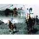 Bob Champion Horse racing genuine authentic autograph signed photo