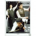 Snooker Autographs